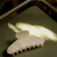 Seashell