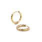 Crater Hoops